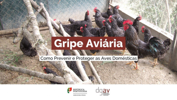 Aviso à População – Confirmação de Foco de Infeção por Vírus da Gripe Aviária (H5N1)