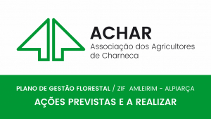 Informação ACHAR - Plano de Gestão Florestal ZIF  Almeirim / Alpiarça – Ações para 2025