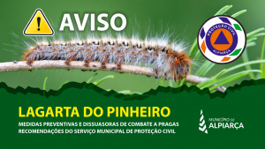 INFORMAÇÃO À POPULAÇÃO | Medidas preventivas e dissuasoras de combate à Lagarta do Pinheiro 2024