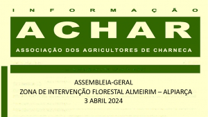 INFORMAÇÃO ACHAR | ASSEMBLEIA-GERAL – ZONA DE INTERVENÇÃO FLORESTAL ALMEIRIM E ALPIARÇA – 3 ABRIL 2024