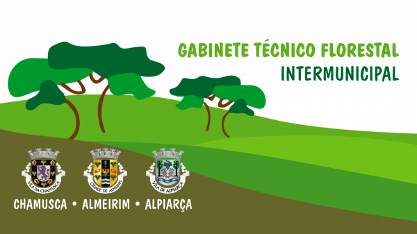 O Gabinete