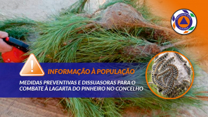 INFORMAÇÃO À POPULAÇÃO | Medidas preventivas e dissuasoras de combate à Lagarta do Pinheiro 2023