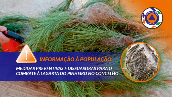 INFORMAÇÃO À POPULAÇÃO | Medidas preventivas e dissuasoras de combate à Lagarta do Pinheiro 2023
