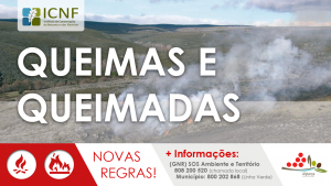 Queimas e Queimadas - Novas Regras
